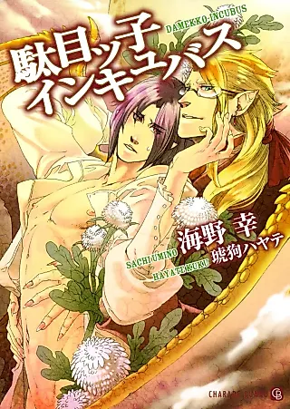 Cover image for the novel called Damekko Incubus