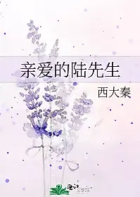 Cover image for the novel called Dear Mr. Lu
