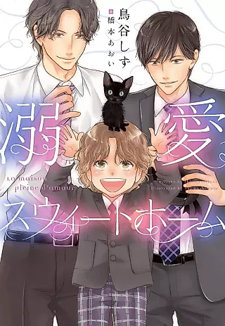 Cover image for the novel called Dekiai Sweet Home