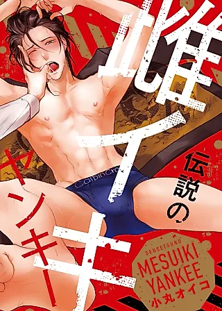 Cover image for the manga called The Legendary Mesuiki Yankee
