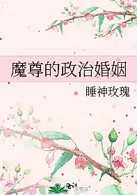 Cover image for the novel called Devil’s Political Marriage