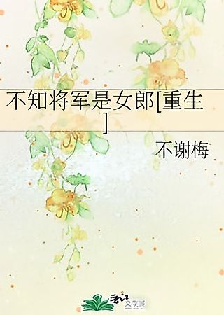 Cover image for the novel called Didn’t Know General Was Female