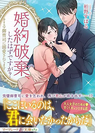 Cover image for the novel called Didn't We Call off Our Engagement?