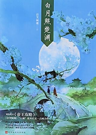 Cover image for the novel called The Emperor's Strategy