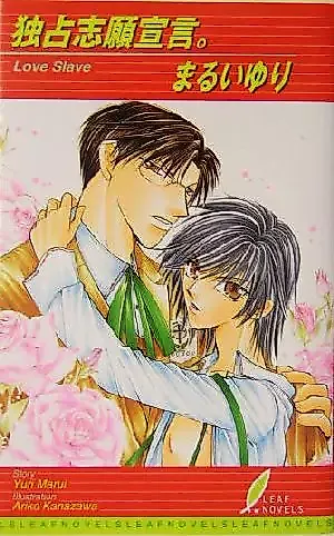 Cover image for the novel called Love Slave
