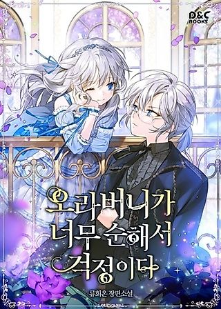 Cover image for the novel called Don't Hire My Brother, Your Highness!