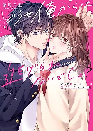 Cover image for the novel called Douse Ore kara wa Nigerarenai desho?