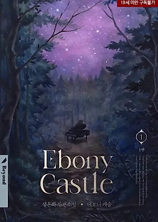 Cover image for the novel called Ebony Castle