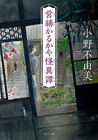 Cover image for the novel called Eizen Karukaya Kaiitan