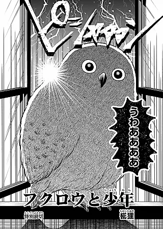 Cover image for the manga called Fukurou to Shounen