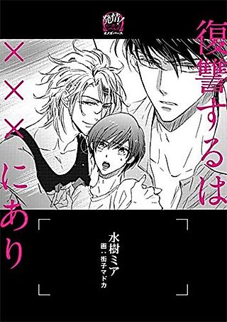 Cover image for the novel called Fukushuu Suru wa XXX ni Ari