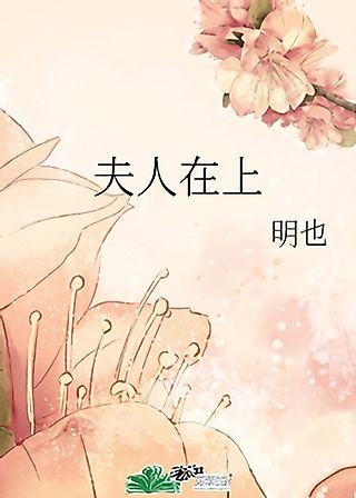 Cover image for the novel called Furen Zai Shang