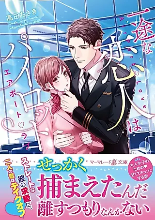 Cover image for the novel called Falling for a Devoted Pilot