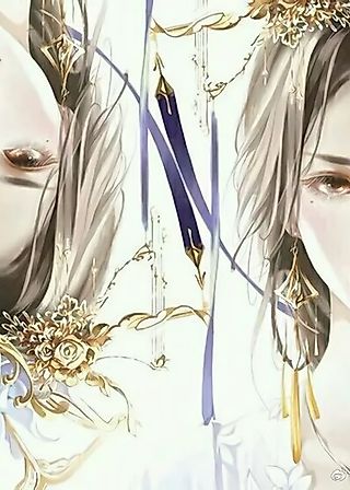Cover image for the novel called Fei Hou