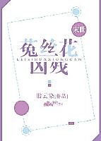 Cover image for the novel called Fierce Silk Flower