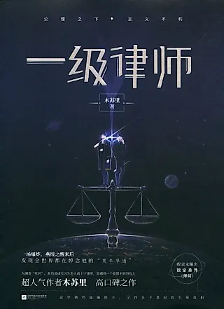 Cover image for the novel called First-Class Lawyer