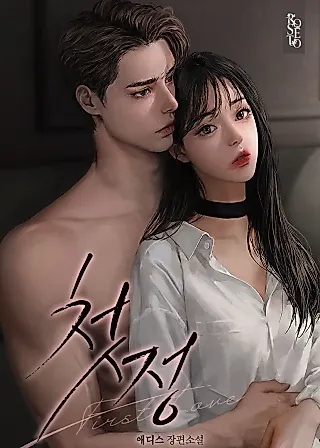 Cover image for the novel called First Love