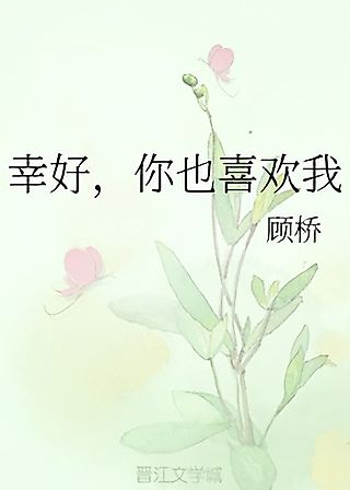 Cover image for the novel called Fortunately, You Like Me Too