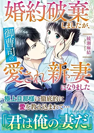 Cover image for the novel called From a Broken Engagement to a Loving Marriage