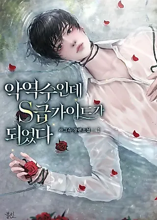 Cover image for the novel called From Villain to S-Class Guide