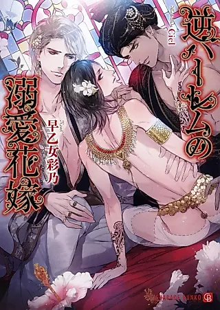 Cover image for the novel called Gyaku Harem no Dekiai Hanayome
