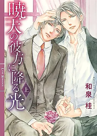 Cover image for the novel called Gyouten no Kanata ni Furu Hikari