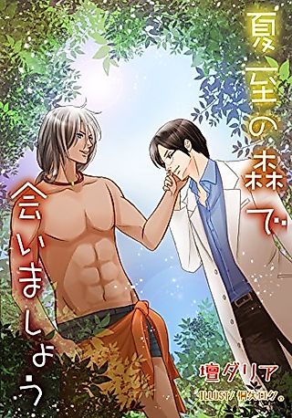 Cover image for the novel called Geshi no Mori de Aimashou