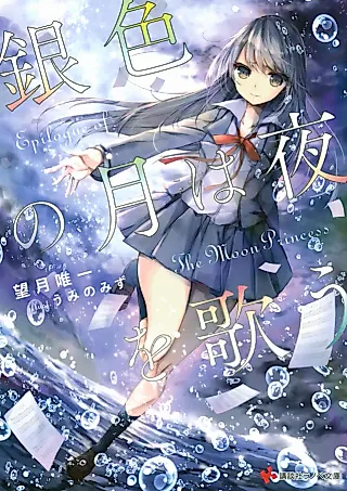 Cover image for the novel called The Moon Princess