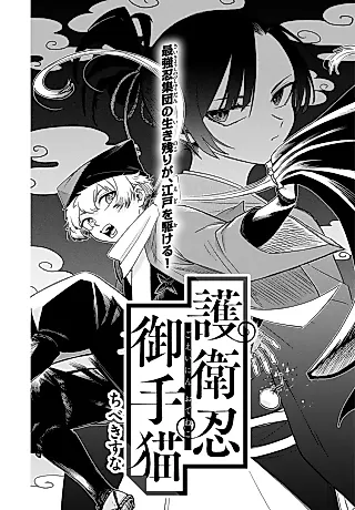 Cover image for the manga called Goeinin Oteneko