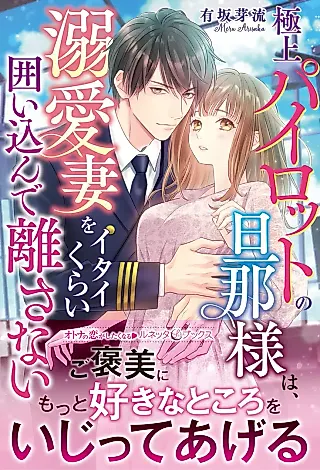 Cover image for the novel called Gokujou Pilot no Danna-sama wa, Dekiai Tsuma wo Itai Kurai Kakoikon de Hanasanai