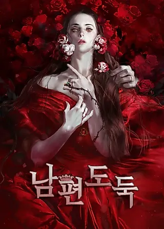 Cover image for the novel called Husband Thief