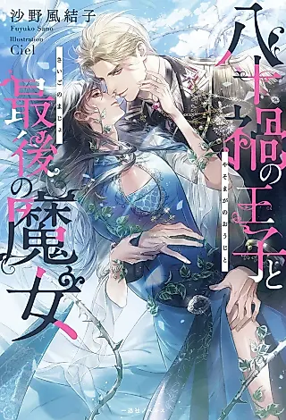 Cover image for the novel called Hachi Juuka no Ouji to Saigo no Majo
