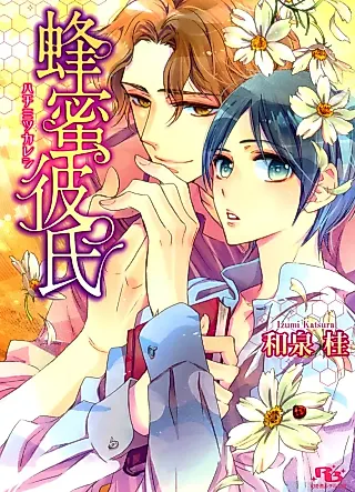 Cover image for the novel called Hachimitsu Kareshi