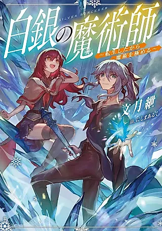 Cover image for the novel called Silver Sorcerer