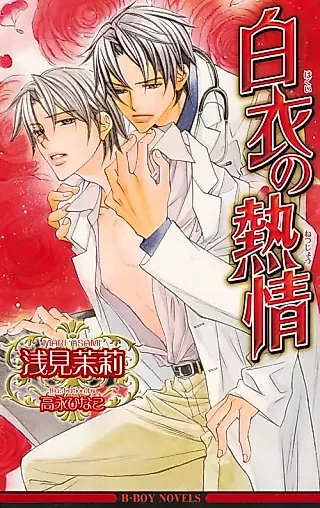 Cover image for the novel called Hakui no Netsujo