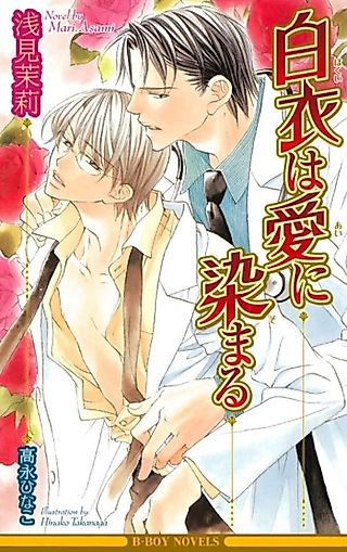 Cover image for the novel called Hakui wa Ai ni somaru