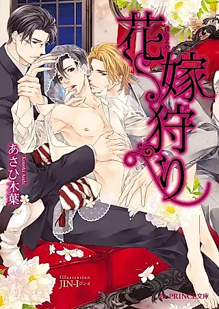 Cover image for the novel called Hanayome Kari