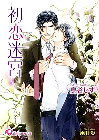 Cover image for the novel called Hatsukoi Meikyuu