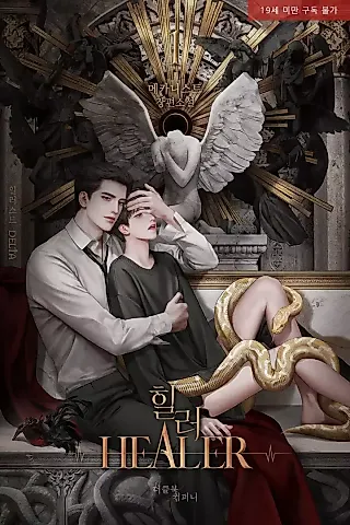 Cover image for the novel called Healer