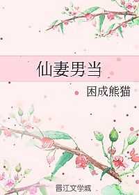 Cover image for the novel called Heavenly Wife