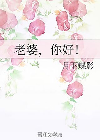 Cover image for the novel called Hello, Wife!