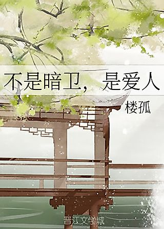 Cover image for the novel called He’s Not My Shadow Guard, He’s My Lover
