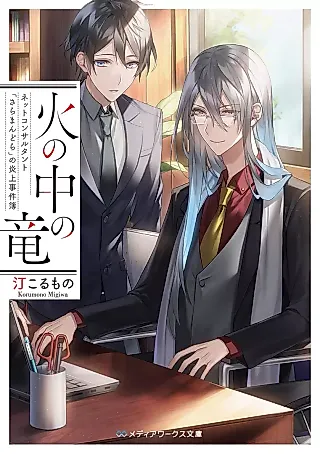 Cover image for the novel called Hi no Naka no Ryuu: Net Consultant "Salamandra" no Enjou Jikenbo