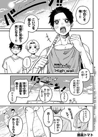 Cover image for the manga called High Wall