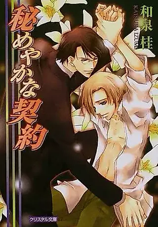 Cover image for the novel called Himeyaka na Keiyaku