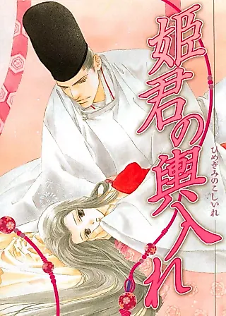 Cover image for the novel called Himegimi no Koshiire