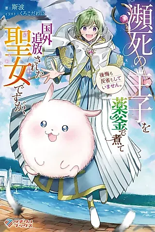 Cover image for the novel called Hinshi no Ouji wo Kusuri Kama de nite Kokugai Tsuihou Sareta Seijo desu ga, Koukai mo Hansei mo Shiteimasen