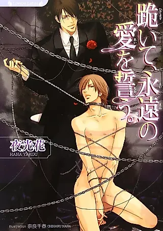Cover image for the novel called Hizamazuite, Eien no Ai wo Chikau