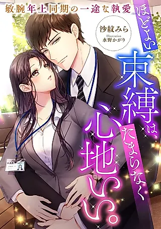 Cover image for the novel called Hodoyoi Sokubaku wa, Tamaranaku Kokochi Ii. Binwan Toshiue Douki no Ichizu na Toai