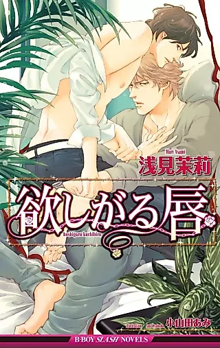 Cover image for the novel called Hoshigaru Kuchibiru